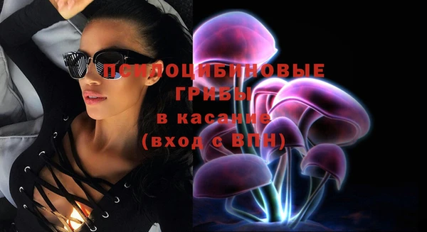 ECSTASY Бородино