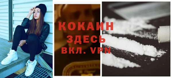 ECSTASY Бородино
