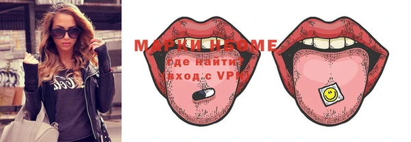 ECSTASY Бородино