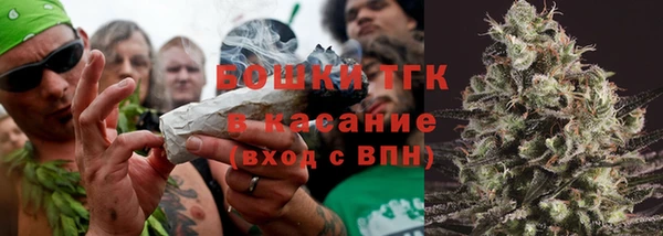 спайс Богданович